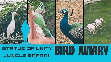 Statue of Unity Jungle Safari PART 1 | Inside the Exotic Bird Aviary 🦜 | Gujarat Tourism 