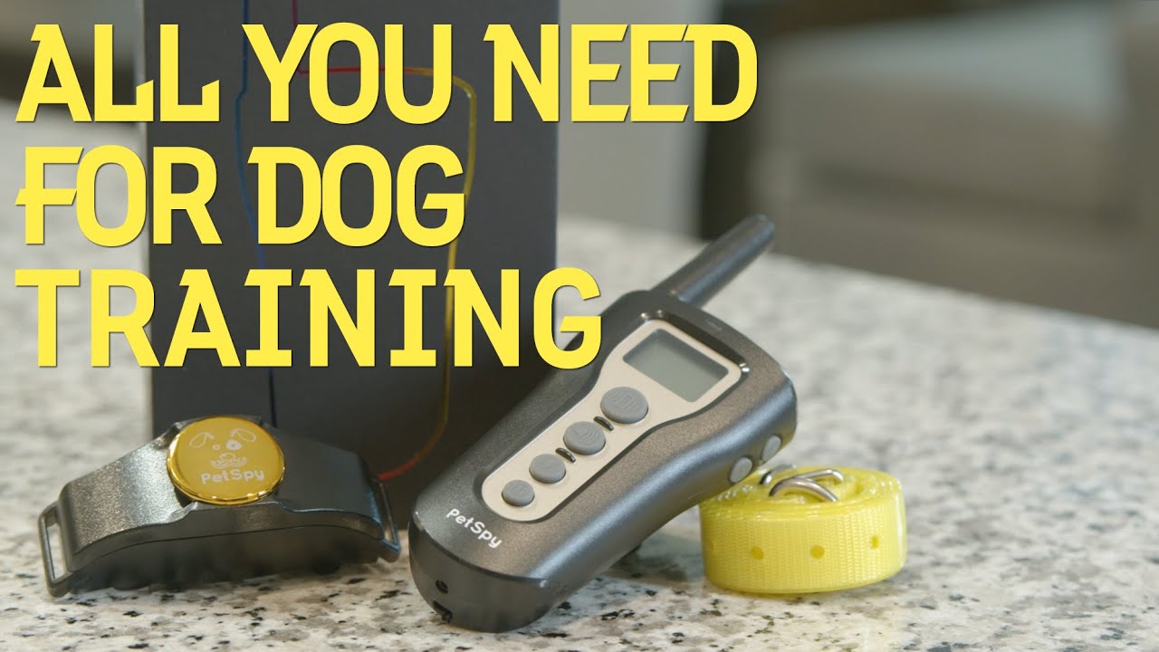 petspy dog training collar