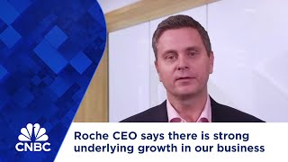 Famous Roche CEO says there is strong underlying growth in our business Net Worth