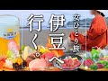 [ひとり旅]朝夕お部屋食に、100%源泉かけ流し温泉！海鮮を堪能したり、海風を浴びたり。日々の喧騒を忘れる1泊2日伊豆ひとり旅〈ゲストハウス倭荘〉