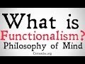 What is Functionalism? (Philosophy of Mind)