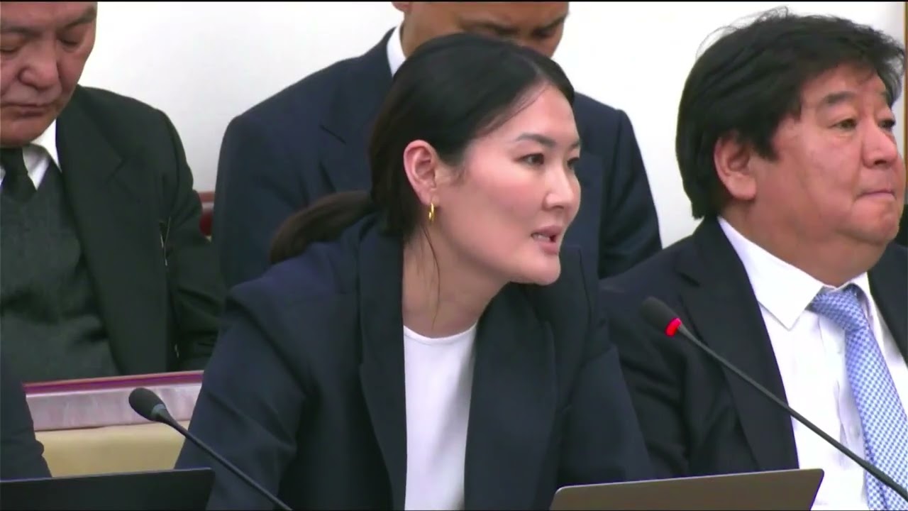 Төрийн өмчит компаниудын засаглал