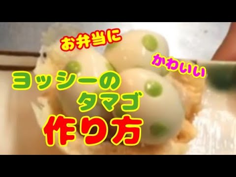 お弁当に 簡単かわいい飾り 便利なヨッシーのタマゴの作り方 レシピ Youtube