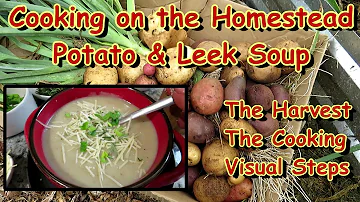Cooking on the Homestead: Leek, Potato, & Herb Harvest and How to Make Potato & Leek Soup Visually