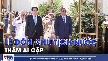 Lễ đón Chủ tịch nước Lương Cường thăm Ai Cập - VNAMedia