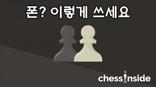 폰은 체스의 영혼이다! 체스의 정석  기초편 강의 #6