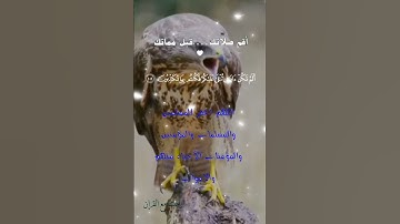 تلاوة خاشعة عطرة مباركة جميلة عذبة للشيخ سعود الشريم ماتيسر من سورة المؤمنون