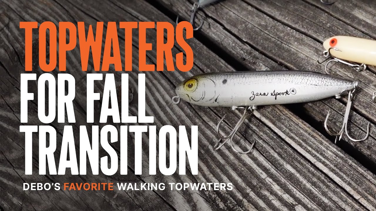 DEBO'S Faves  Topwater Walking Baits for Fall Transition 