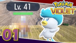 01 - Finding lv40 Pokemon before Starting School?! [TIMESTAMPS] Lets Play Pokemon Violet