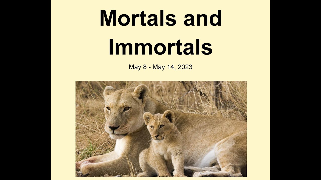 Christian Science Weekly Bible Lesson 2023 May 8 Mortals And Christian science weekly bible lesson 2023 may 8 mortals and