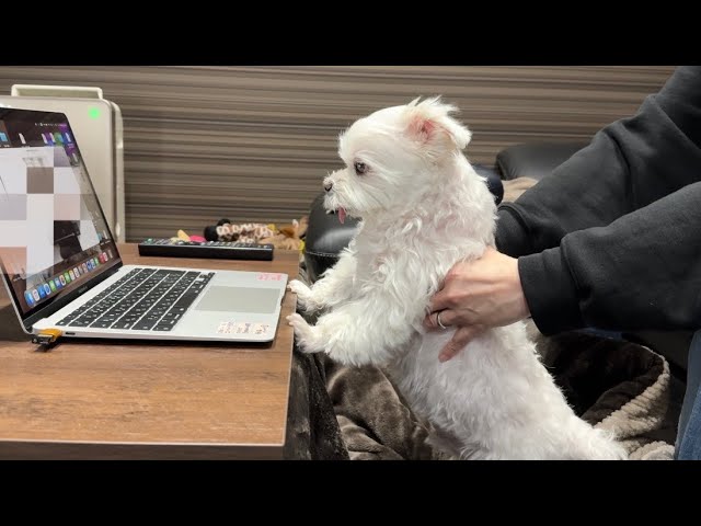 Two months have passed since Dad passed away. - YouTube