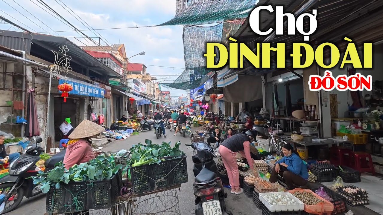 Chợ Đình Đoài - Khu chợ lớn nhất Đồ Sơn (Hải Phòng) | 18.01.2026