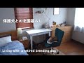 地元に戻って始まった保護犬との生活。お部屋紹介。北海道の短い秋🍂