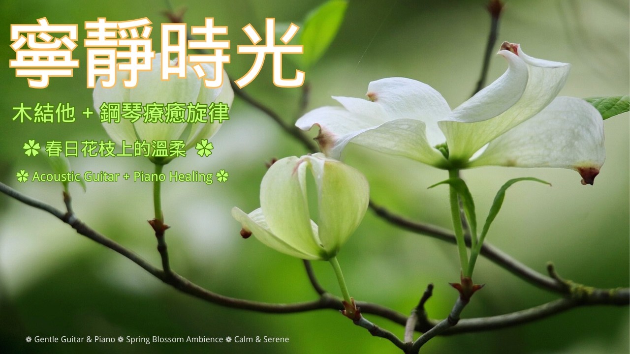 花朵盛放的美丽🌸  木結他 + 鋼琴療癒旋律 🌸 忘卻煩惱的寧靜時光 🌸 Beauty of Blooming Flowers | Acoustic Guitar Serene Moments 🌸