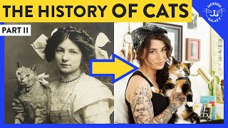 The History of Cats: Part II