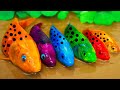 Stop Motion ASMR | colorful koi fish rescue poppy playtime , Hulk  | catfish Chase colorful koi fish