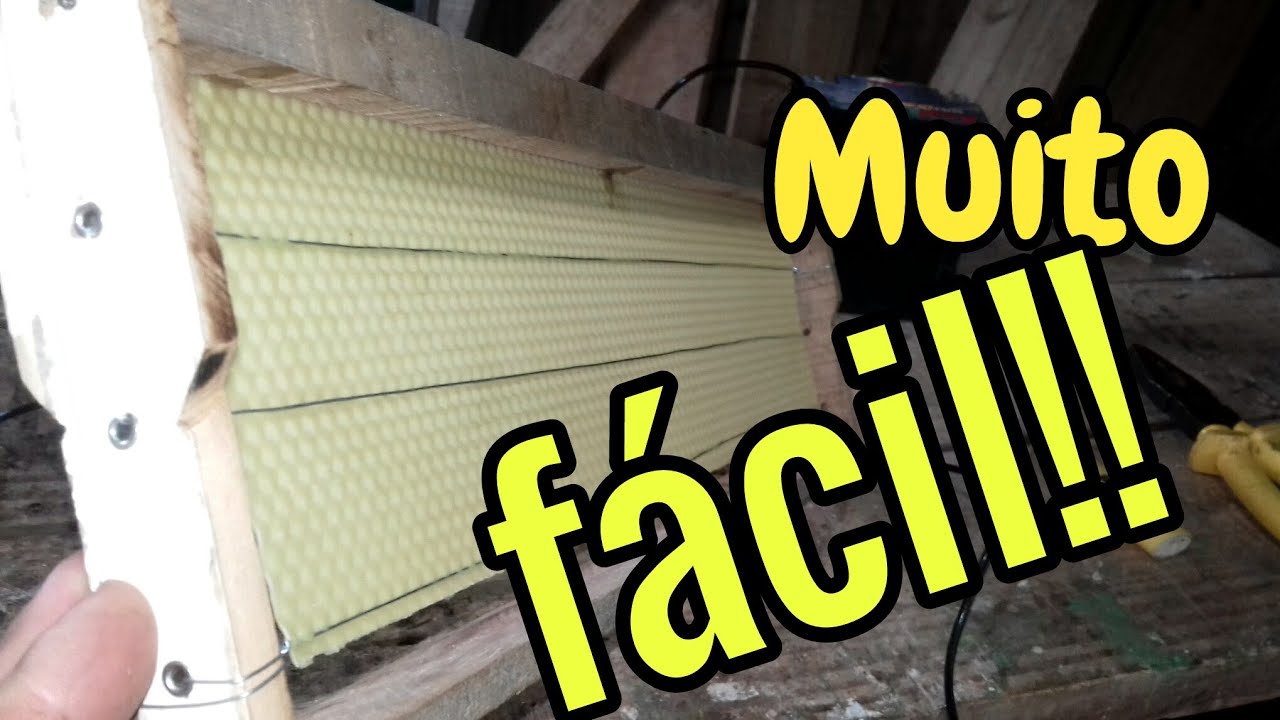 Como colocar cera alveolada nos quadros (muito fácil)