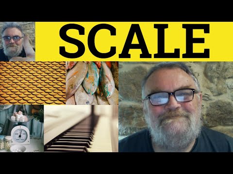Video: Qual è la definizione di scale drawing?