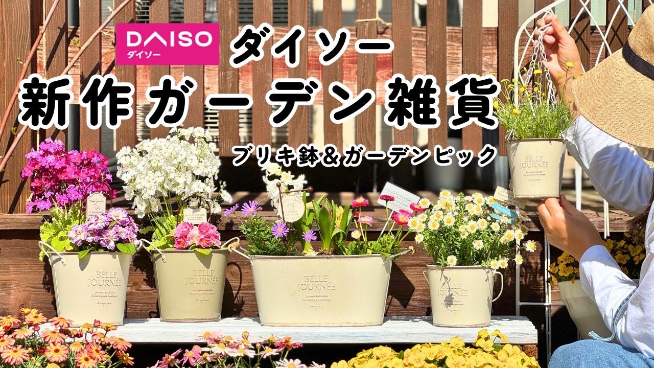 これがダイソー…！？2026新作ガーデン雑貨が可愛すぎる！｜春の寄せ植え｜ブリキ鉢＆ガーデンピック｜園芸用品｜ガーデニング｜購入品紹介