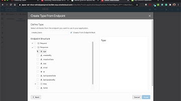 How to insert form data into VBCS BO