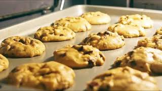 Visa Tiesa Apie Maista Lt Lietuviskai Filmas