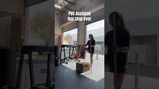PVC Assisted Box Step Over | Team Inspire Physiotherapy