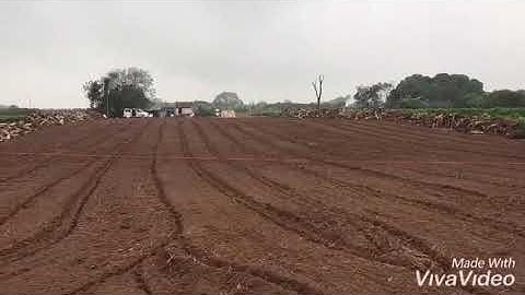 Cận cảnh làm đất trồng Bưởi Ruby Thái Lan