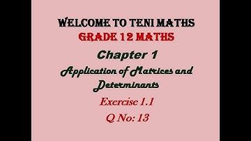 grade 12: Maths: Chapter 1: Application of Matrices and Determinants: Exercise 1.1: Q no 13