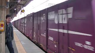 JR貨物 EF210 107号機 新塗装 貨物 米原 通過