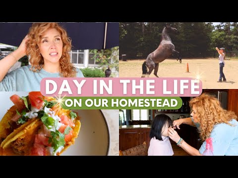 I Guess I Have Three New Babies Now 😳... / Day In The Life On Our Homestead!