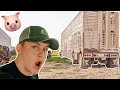Loading Out PIGS.. | This'll Do Farm Vlog 055
