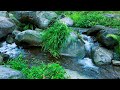 Relax, Unwind and Deep Sleep with Calming Water Sounds Surrounded by Stones & Peaceful Nature