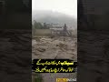 سیلاب میں مکانات ڈوب گئے خوفناک مناظر بچے ویڈیو نہ دیکھیں پلیز Kpkflood Flood Swatflood 