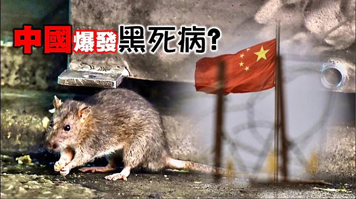 中國黑死病?鼠疫  去過這七省份要當心 六省300餘村落被封  武警駐守 - 天天要聞