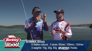 Berkley Shimma Shad