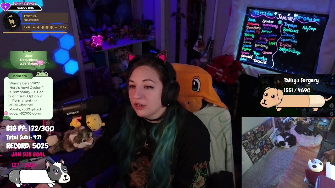 almost mah birfdayyy !pp !happy !discord !dogs !wolf !tailsy