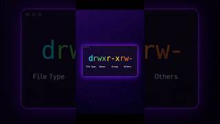 What Does drwxr-xr-x Mean? 🤔 | Linux Permissions Explained #linux #linuxcommandlinetutorial #sudo