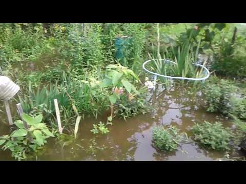 Summer cottage islands ARE GOING UNDERWATER. The high water has reached Khabarovsk too.