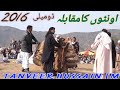 Akharah Camel weight 2016 PART 2 Domelee Jhelum