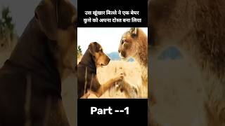 उस खूंखार बिल्ले ने एक बेघर कुत्ते को अपना दोस्त बना लिया 😮#viral#youtubeshorts#short#shorts