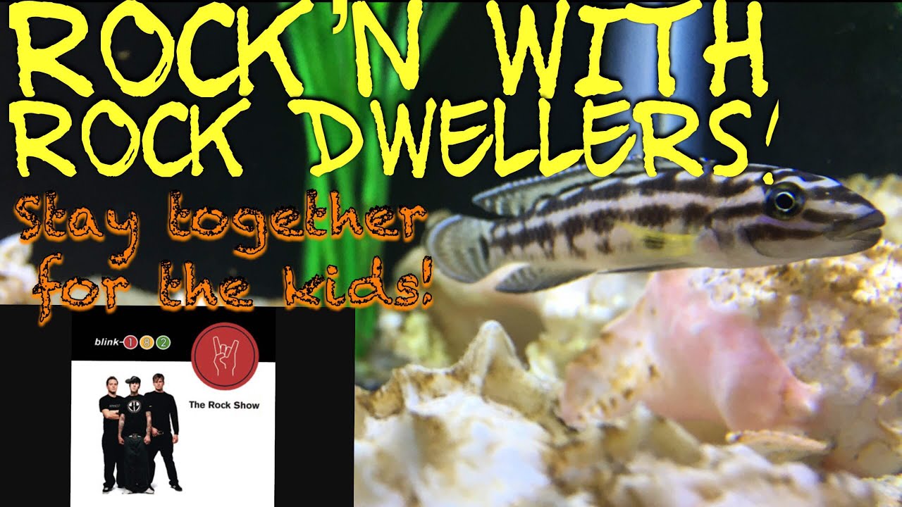 malawi map Rock’n with the Rock Dwellers!