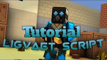 Туториал как запустить Ligavet_Script