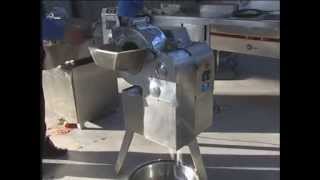 CHD100 cubes cutting machine