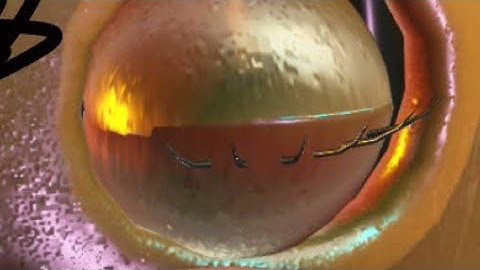 Preview 214537 Bob Zoom (V5 Version) in Preview 214537 V4 Effects