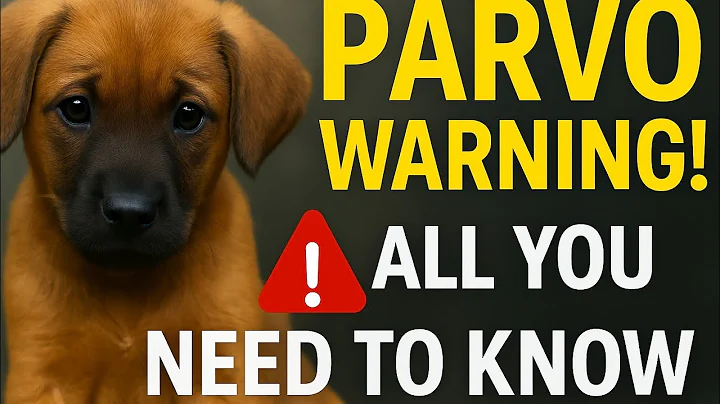 Parvo in Dogs — Early Signs, Treatment, and Vet Advice to Save Your Dog