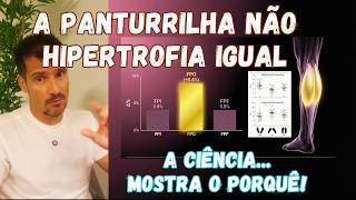 A biomecânica que muda totalmente o treino de panturrilha