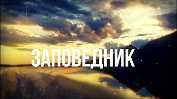 Заповедник: Тайная жизнь животных