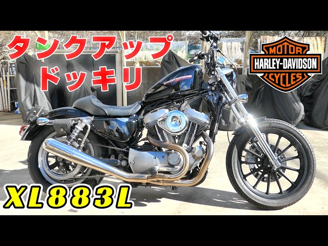 XL883L】ドッキリ！？アニキのスポーツスターを勝手にタンクアップして