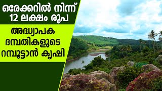 റമ്പൂട്ടാന്‍ കൃഷിയിലൂടെ ലക്ഷങ്ങള്‍ കൊയ്യുന്ന അദ്ധ്യാപക ദമ്പതികള്‍ #fruit #krishi #rambutan #farming