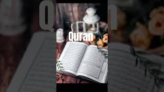 SURAH IBRAHIM AYAT 39-41 URDU TRANSLATION 🕋 #quran #quran l#love #quranrecitation #qurantranslation